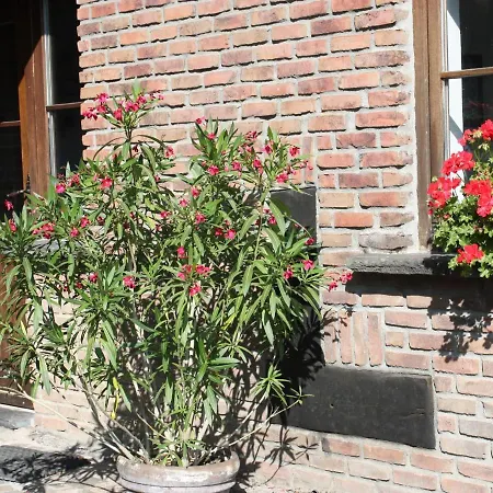 Simplistic In With Garden * Nadrin